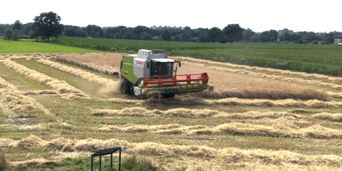 Combine oogst rogge op de Soester Eng Combine oogst rogge op de Soester Eng