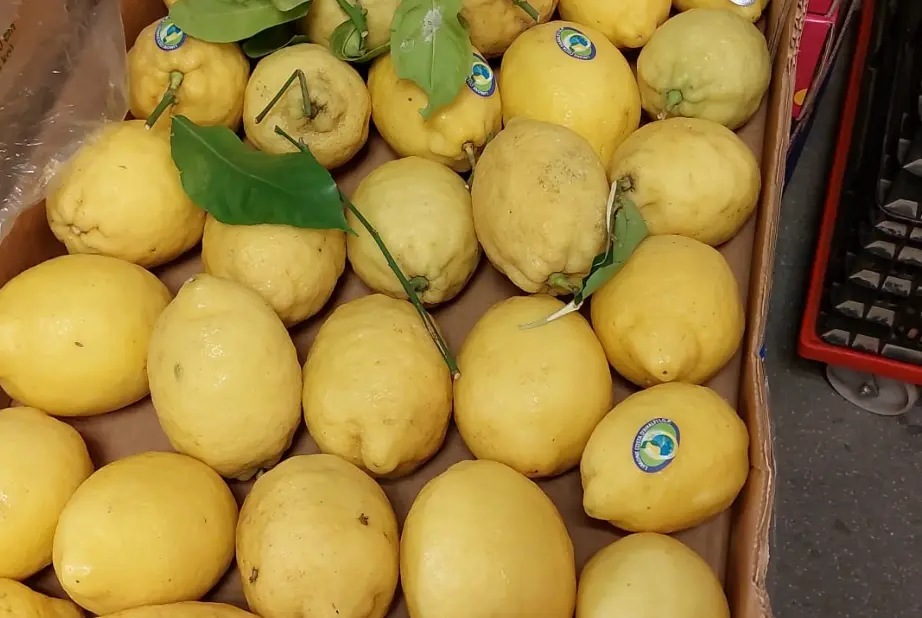 Doos amalfi citroenen gebruikt in Dorresteiner limoncello Doos amalfi citroenen gebruikt in Dorresteiner limoncello
