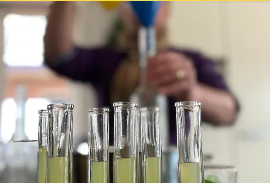 Vullen van Dorresteiner Limoncello flessen Vullen van Dorresteiner Limoncello flessen